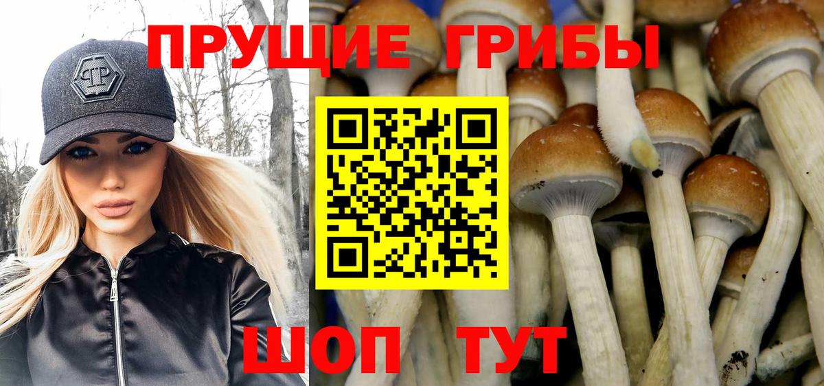 Псилоцибиновые грибы Psilocybe  Вход с VPN  Галлюциногенные грибы мухоморы  Нурлат 
